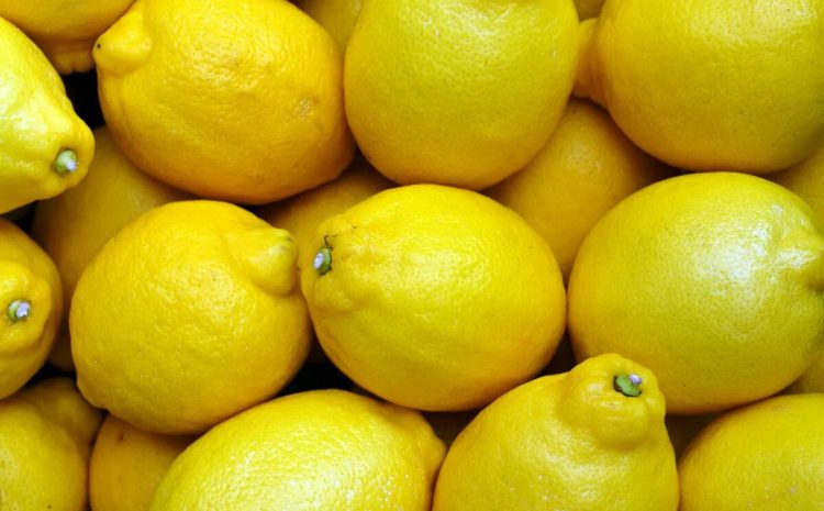  Limon